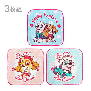 pEEpg[@v`^I@3g@yAL[g@PO462600@Vw@[M 1/4]