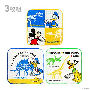 fBYj[@~bL[}EX@v`^I@3g@OCX ~bL[×@PO463100@Vw@[M 1/4]@[disneyzone]