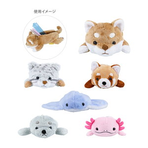 kC~[3@ʂ݃yP[X@6@[M 1/1]