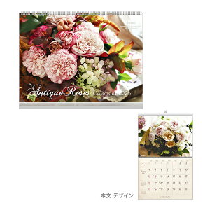 2026N@Ǌ|J_[@AeB[N[Y@1000136908