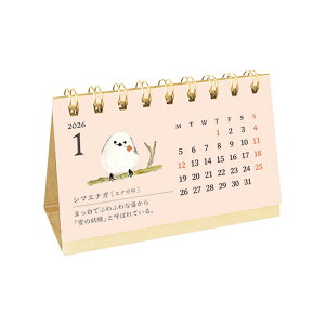 2026N@J_[@hTCY@ǂԂ}ӕ@CT-2612@[M 1/18]