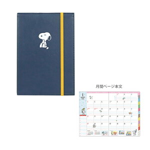 Xk[s[@2026N@Ƒ蒠@}X[XPW[@B6@2025N12n܂@Jo[^Cv@lCr[@658SQ@[M 1/1]