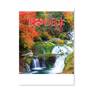 yPő10{Iz2026N@Ǌ|J_[@lG̓{@NK87