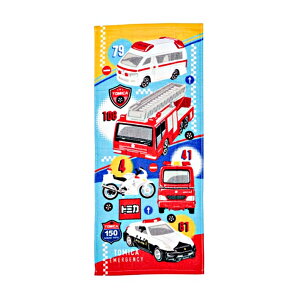 g~J@tFCX^I@oX@FP430900@[M 1/1]