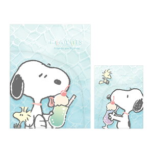 Xk[s[@WTCh|PbgNAt@C@A4@gɂՂՂ@306561@[M 1/1]