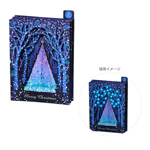 NX}XJ[h@CgfB[@́@C~l[V@244180@[M 1/1]