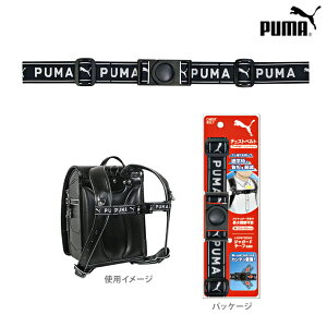 v[} `FXgxg PM577@j̎q w  X|[cuh Nc wpi ʊwpi Vw [M 1/2]