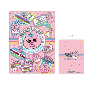 ς񂿂イ@XpR[NAt@C@A5W@sN@4901770975733@[M 1/16]