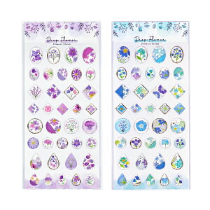 }ChEFCu@hbv t[ V[@p[v/u[@[M 1/18]