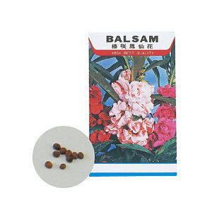 A[ebN@Ԃ̎@zEZJ@002743@[֑[M 1/20]