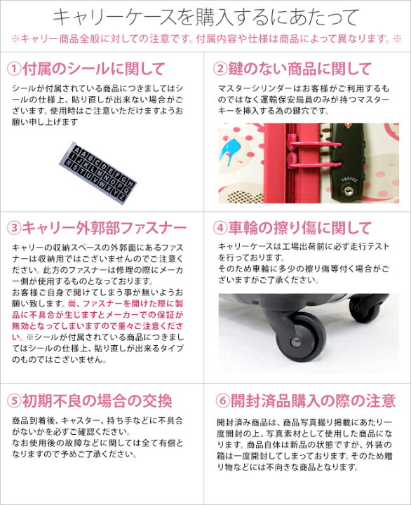 楽天市場】〔半額〕ベンデイビス キャリーケース 30L 2カラー bd101 