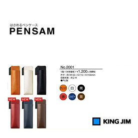 【メール便対応可】キングジム パチンとはさめるペンケース「PENSAM(ペンサム)」スリムタイプ NO.2001