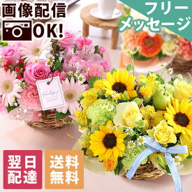 【クーポンで100円OFF！】【最短 翌日届け 14時まで】花 誕生日 季節のおまかせアレンジ 送料無料 即日発送 フラワー 花 生花 歓迎 退職 女性 誕生日プレゼント バースデー 結婚記念日 祝い 送別 出産祝 開店 開店祝 夏 画像配信