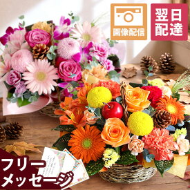 【クーポンで100円OFF※一部商品】【翌日届け 14時まで】 花 誕生日 敬老の日 敬老 季節のおまかせアレンジ 送料無料 即日発送 フラワー 花 生花 秋 歓迎 退職 女性 誕生日プレゼント バースデー 結婚記念日 祝い 送別 出産祝 開店祝 夏 画像配信