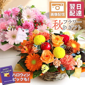 【翌日届け 14時まで】 花 誕生日 季節のおまかせアレンジ 送料無料 即日発送 フラワー 花 生花 秋 ハロウィン 歓迎 退職 女性 誕生日プレゼント バースデー 結婚記念日 祝い 送別 出産祝 開店祝 画像配信