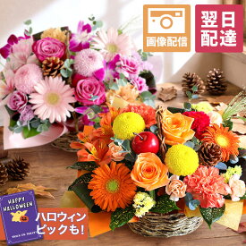 【翌日届け 14時まで】 花 誕生日 季節のおまかせアレンジ 送料無料 即日発送 フラワー 花 生花 秋 ハロウィン 歓迎 退職 女性 誕生日プレゼント バースデー 結婚記念日 祝い 送別 出産祝 開店祝 画像配信