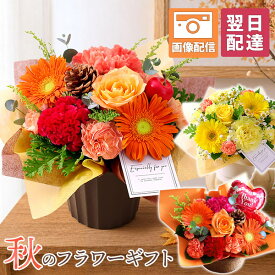 【翌日届け 14時まで】誕生日 ギフト アレンジメント 花束 花 おまかせ アレンジ プリュム 送料無料 秋 ハロウィン アレンジ 生花 バラ カーネーション ガーベラ バースデー 歓迎 退職 結婚記念日 祝い 送別 出産祝 開店 開店祝 誕生日プレゼント 画像配信