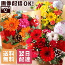 【最短 翌日届け 14時まで】花 誕生日プレゼント おまかせアレンジ プリュム 送料無料 アレンジ ギフト 誕生日 生花 バラ カーネーション ガーベラ バースデー 歓迎 退職 結婚記念日 祝い 送別 出産祝 開店 開店祝 画像配信 秋 冬 クリスマス