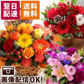 【最短 翌日届け 14時まで】花 いい夫婦の日 誕生日 ギフト おまかせ アレンジメント Sサイズ 誕生日プレゼント 生花 お花 女性 母 妻 バラ 薔薇 ユリ バルーン お祝い 花束 プレゼント バースデー 結婚記念日 結婚祝い 退職祝 フラワー 画像配信 秋 ダリア 冬 クリスマス