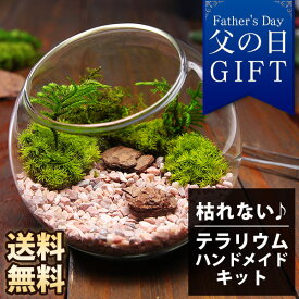 楽天市場 テラリウム 苔 キットの通販