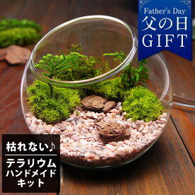 父の日 プレゼント ギフト 送料無料 苔 テラリウム キット ハンドメイドキット プリザーブドモス 手作り おしゃれ メッセージカード付き BunBunBee イベントギフトE 2026