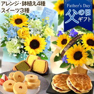 父の日 花 プレゼント ギフト スイーツセット アレンジ 花鉢 鉢植え ヒマワリ鉢5号 フラワーアレンジメン…