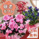 敬老の日 プレゼント ギフト 敬老の日プレゼント 敬老の日ギフト 選べる組合せ 花 スイーツ 花とスイーツset 選べるセ…