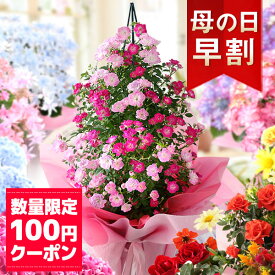 【10年連続総合1位】【早割＆100円OFFクーポン】母の日 プレゼント 花 ギフト 鉢植え アジサイ アレンジ アレンジメント スタンディングブーケ 花束 カーネーション 楽天総合1位 送料無料 メッセージカード付き ははの日 イベントギフトA 2024 BunBun!Bee