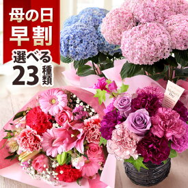 早割実施中！ 母の日 プレゼント 花 ギフト 鉢植え アジサイ アレンジ アレンジメント スタンディングブーケ 花束 カーネーション 楽天総合1位 送料無料 メッセージカード付き イベントギフトA 2024