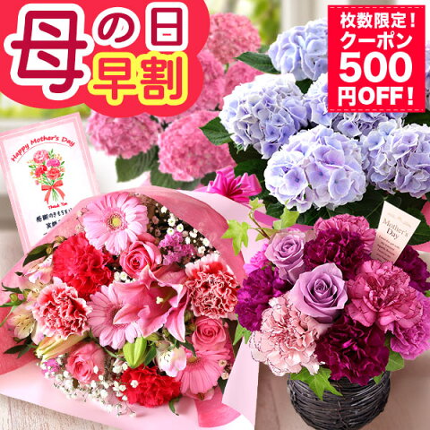 早割 母の日 【500円OFF！枚数限定　楽天市場クーポン】プレゼント 花 ギフト 鉢植え アジサイ アレンジメント スタンディングブーケ 花束 楽天総合1位 送料無料 メッセージカード付き ははの日 イベントギフトA 2026 BunBun!Bee