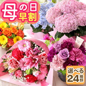 早割実施中！ 母の日 プレゼント 花 ギフト 鉢植え アジサイ アレンジメント スタンディングブーケ 花束 楽天総合1位 送料無料 メッセージカード付き ははの日 イベントギフトA 2026 BunBun!Bee