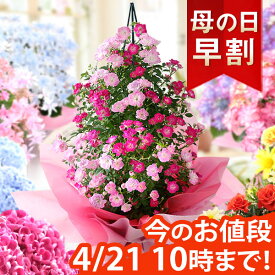 【10年連続総合1位】【早割＆エントリーでポイント4倍】母の日 プレゼント 花 ギフト 鉢植え アジサイ アレンジ アレンジメント スタンディングブーケ 花束 カーネーション 楽天総合1位 送料無料 メッセージカード付き ははの日 イベントギフトA 2024 BunBun!Bee