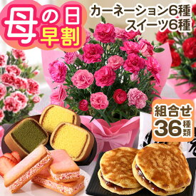 早割実施中！ 【カーネーション+6種の有名スイーツから選べるセット】母の日 プレゼント 花 ギフト 花とスイーツ セット 鉢植え カーネーション ピンク レッド お菓子 文明堂 ムーミン メッセージカード付き ははの日 イベントギフトG 2026 BunBun!Bee
