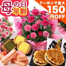 まもなく値上がり！【最大150円OFFクーポン＆ポイント最大2倍（要エントリー）】早割 母の日 母の日ギフト プレゼント 花 ギフト 花とスイーツ セット 鉢植え カーネーション レッド お菓子 母の日ギフト2026 文明堂 ムーミン イベントギフトG 2026 BunBun!Bee