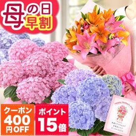 【ポイント15倍＆400円OFF！楽天市場クーポン】早割 母の日 プレゼント 母の日ギフト 花 ギフト 花鉢 鉢花 アジサイ アレンジ アレンジメント 花束 ベゴニア バラ ユリ カーネーション 母の日ギフト2026 ははの日 イベントギフトC 2026 BunBun!Bee