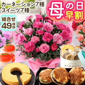 早割実施中！母の日ギフト【カーネーション+7種の有名スイーツから選べるセット】母の日 プレゼント 花 ギフト 花とスイーツ セット 鉢植え カーネーション 5号鉢 お菓子 キハチ 文明堂 ははの日 イベントギフトD 2026 BunBun!Bee
