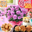 母の日 花 スイーツ セット