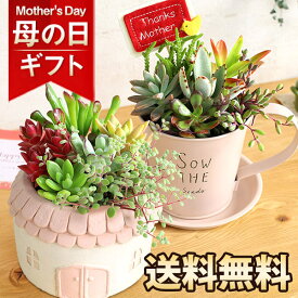 母の日 プレゼント【早割実施中】ギフト 多肉植物 寄せ植え 観葉植物 テラリウム 送料無料 メッセージカード付き ははの日 イベントギフトK6 2024 BunBun!Bee