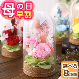 早割実施中！ 母の日 プレゼント 花 ギフト プリザーブド アレンジ バラ アジサイ プリザーブドフラワー アレンジメント ばら 薔薇 ソーラーローズ 送料無料 メッセージカード付き ははの日 イベントギフトK2 2026 BunBun!Bee