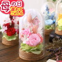 遅れてごめんね！【ポイント15倍＆100円OFFクーポン！】母の日 母の日ギフト プレゼント 花 ギフト プリザーブド アレンジ バラ アジサイ プリザーブドフラワー アレンジメント 母の日ギフト2026 薔薇 ソーラーローズ イベントギフトK2 2026 BunBun!Bee
