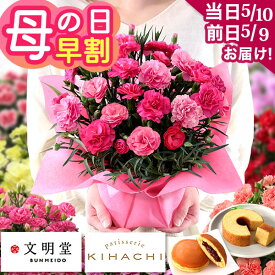 母の日 【 前日・当日 届け！】早割 母の日ギフト【人気銘店スイーツが選べる！】カーネーション 13種類 ＆ スイーツセット KIHACHI パティスリーキハチ「プティBOXバームクーヘン」 文明堂「月三笠」 プレゼント 花 鉢植え 5号 花鉢 ギフト イベントギフトF 2026 BunBun!Bee