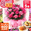 もうすぐ終了！【400円OFF！＆ポイント5倍！楽天市場クーポン】 早割 母の日 【 前日・当日 届け！】ギフト カーネーション 13種類 ＆ スイーツセット KIHACHI キハチ 文明堂 母の日ギフト2026 プレゼント 花 鉢植え 5号 花鉢 イベントギフトF 2026 BunBun!Bee