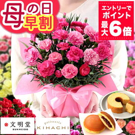 まもなく値上がり！【ポイント最大6倍（要エントリー）】早割 母の日 【 前日・当日 届け！】ギフト カーネーション 13種類 ＆ スイーツセット KIHACHI キハチ 文明堂 母の日ギフト2026 プレゼント 花 鉢植え 5号 花鉢 イベントギフトF 2026 BunBun!Bee