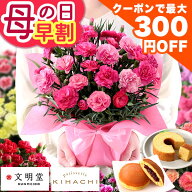 まもなく値上がり！【300円OFFクーポン＆ポイント3倍！】早割 母の日 【 前日・当日 届け！】ギフト カー…