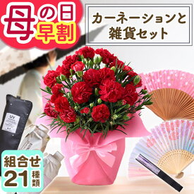 【クーポンで100円OFF（一部商品）】早割実施中！ 母の日 プレゼント 花 ギフト 選べる21通り 花と雑貨 セット コラボ 鉢植え カーネーション鉢4号 折り畳み傘 晴雨兼用 扇子 オリジナルエプロン イベントギフトX 2026 BunBun!Bee