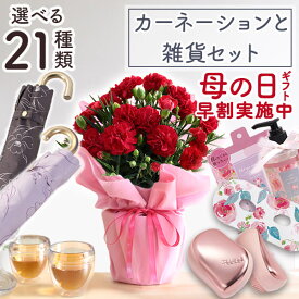 【早割実施中！】母の日 プレゼント 花 ギフト 選べる24通り 花と雑貨 セット コラボ 鉢植え カーネーション鉢4号 折り畳み傘 晴雨兼用 BODUM ダブルウォールタンブラー タングルティーザー 温アイマスク 入浴剤 ハンドソープ イベントギフトX 2024 BunBun!Bee