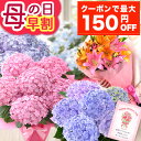 まもなく値上がり！【最大150円OFFクーポン＆ポイント最大6倍（要エントリー）】早割 母の日 プレゼント 母の日ギフト…