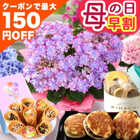 まもなく値上がり！【最大150円OFFクーポン＆ポイント最大2倍！要エントリー】早割 母の日 母の日ギフト プレゼント 花 ギフト 花とスイーツ セット 母の日ギフト2026 鉢植え アジサイ バラ お菓子 キハチ 文明堂 メッセージカード ははの日 イベントギフトL 2026 BunBun!Bee
