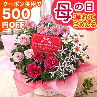 遅れてごめんね！【最大500円OFFクーポン！※併用】 母の日 母の日ギフト プレゼント 花 ギフト 花鉢 鉢…
