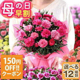 早割実施中！ 母の日 プレゼント 花 ギフト 鉢植え カーネーション 5号鉢 花鉢 選べる12種類 定番 赤 ピンク 送料無料 メッセージカード付き ははの日 イベントギフトU 2026 BunBun!Bee
